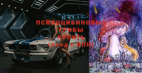 дживик Армянск