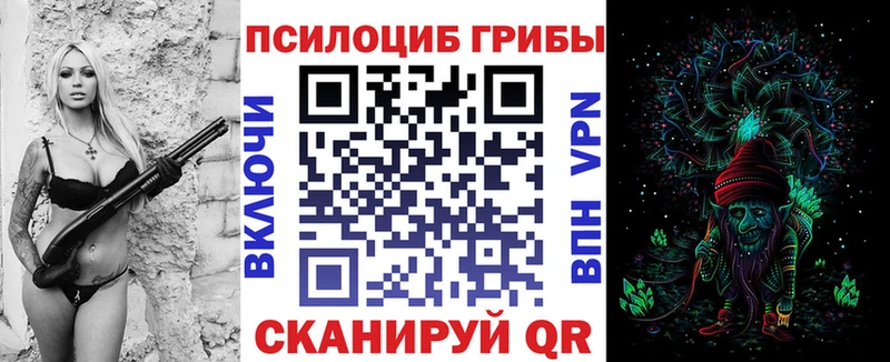 Псилоцибиновые грибы Cubensis где купить наркоту Любим